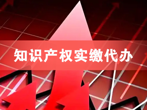 汉川知识产权实缴资本代办